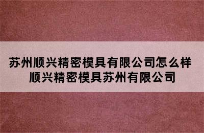 苏州顺兴精密模具有限公司怎么样 顺兴精密模具苏州有限公司